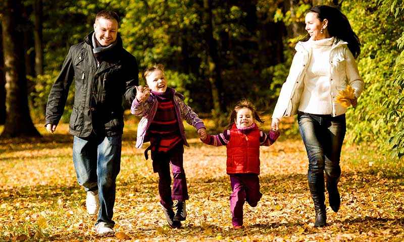 Main Content Intro Image