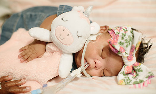 related content image