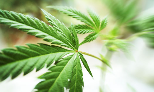 related content image