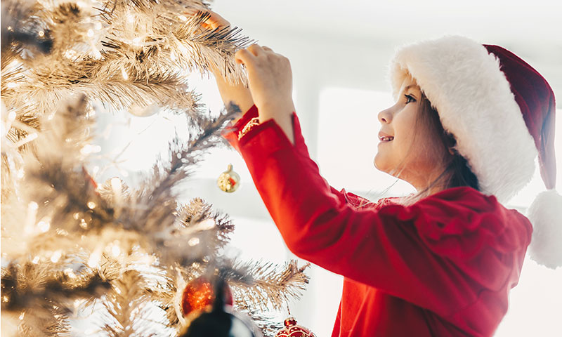 Main Content Intro Image