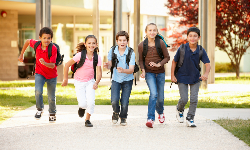 Main Content Intro Image