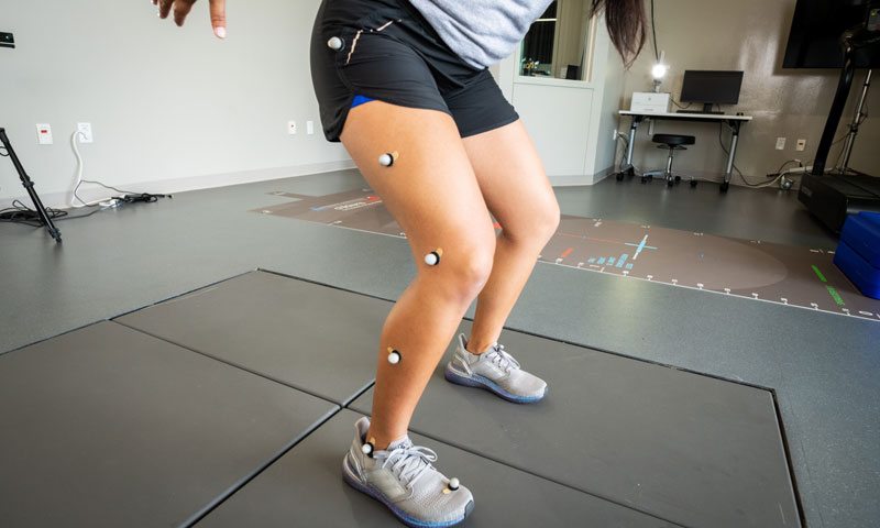 Main Content Intro Image