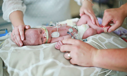 related content image