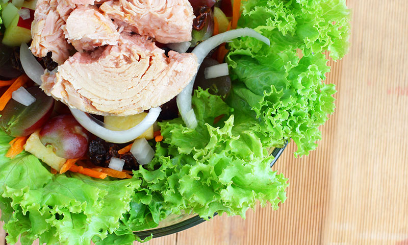 Main Content Intro Image