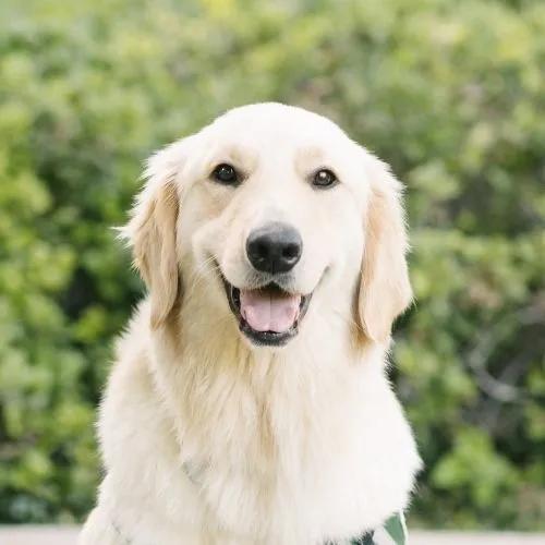 Join our team! Help make life better for children